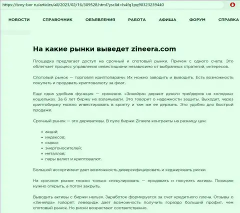 Информационная статья о внушительном перечне финансовых инструментов для трейдинга брокерской организации Zinnera, предоставленная на ресурсе tvoy bor ru