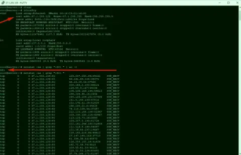 Пример DDoS-атаки на сервер maximarkets.pro